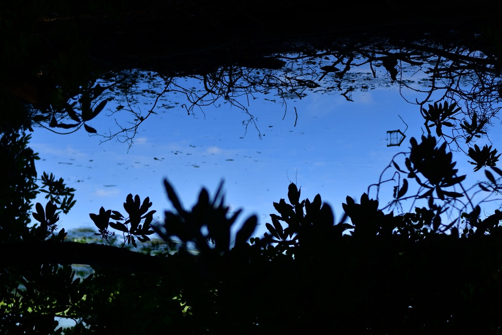 2018-08-04 Nottingham/Wollaton Hall/DSC_3842.JPG